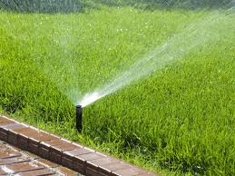Rasenbewässerung automatisiert